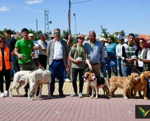 matilhas 2019 66 matilhas 2019 66