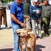 matilhas 2019 68 matilhas 2019 68