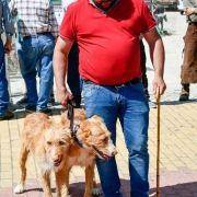 matilhas 2019 69 matilhas 2019 69