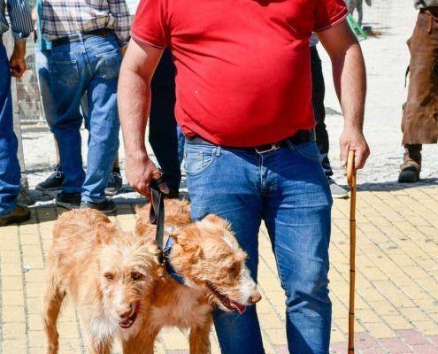 matilhas 2019 69 matilhas 2019 69