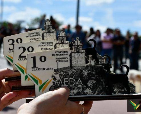 matilhas 2019 71 matilhas 2019 71