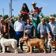 matilhas 2019 72 matilhas 2019 72