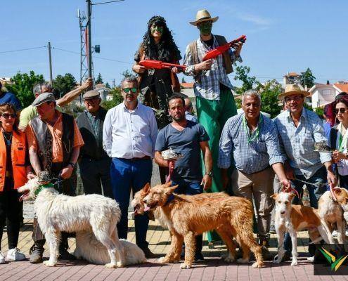 matilhas 2019 72 matilhas 2019 72