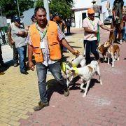 matilhas 2019 73 matilhas 2019 73