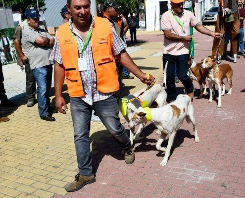 matilhas 2019 73 matilhas 2019 73