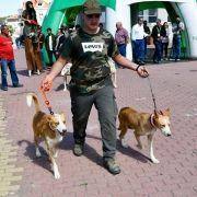 matilhas 2019 75 matilhas 2019 75