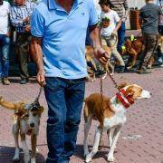 matilhas 2019 78 matilhas 2019 78