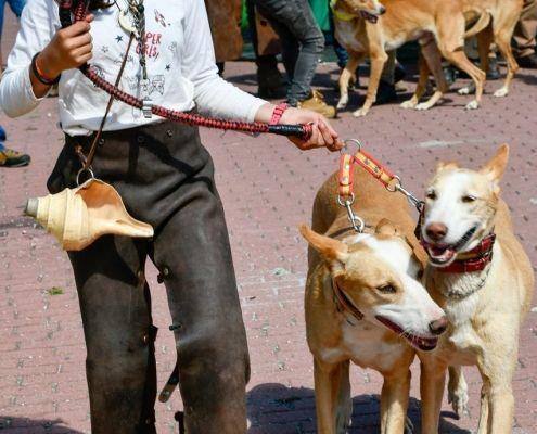 matilhas 2019 79 matilhas 2019 79