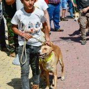 matilhas 2019 80 matilhas 2019 80