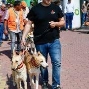 matilhas 2019 82 matilhas 2019 82