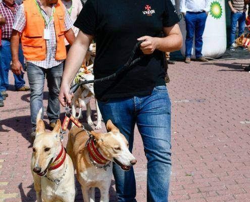 matilhas 2019 82 matilhas 2019 82