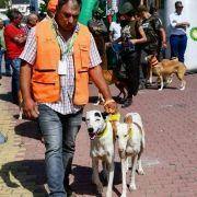 matilhas 2019 83 matilhas 2019 83