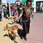 matilhas 2019 84 matilhas 2019 84