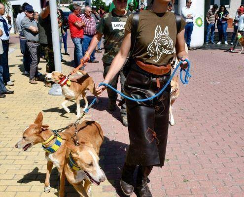 matilhas 2019 84 matilhas 2019 84