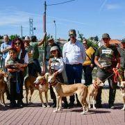 matilhas 2019 85 matilhas 2019 85