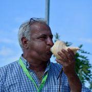 matilhas 2019 88 matilhas 2019 88