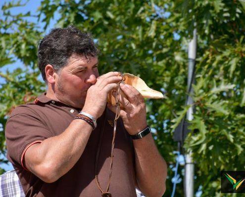 matilhas 2019 89 matilhas 2019 89