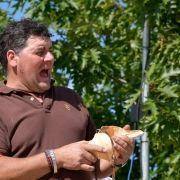 matilhas 2019 90 matilhas 2019 90