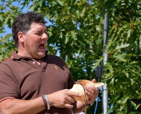 matilhas 2019 90 matilhas 2019 90