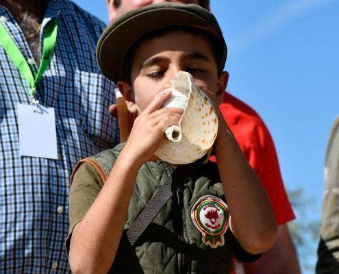 matilhas 2019 92 matilhas 2019 92