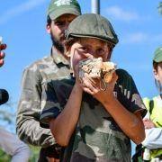 matilhas 2019 93 matilhas 2019 93