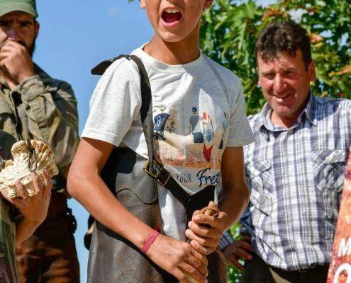 matilhas 2019 96 matilhas 2019 96