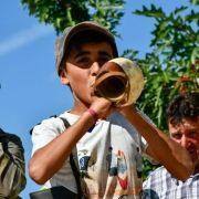 matilhas 2019 97 matilhas 2019 97