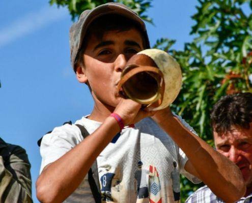 matilhas 2019 97 matilhas 2019 97