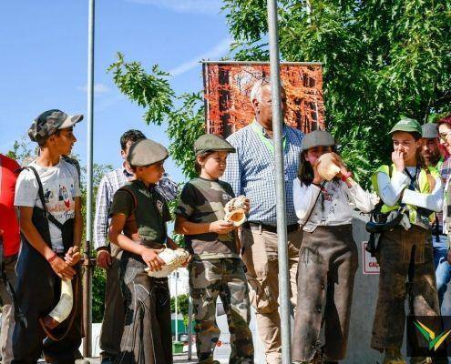 matilhas 2019 98 matilhas 2019 98