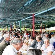 santos populares 2019 11 santos populares 2019 11