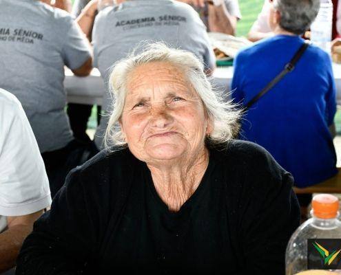 santos populares 2019 15 santos populares 2019 15