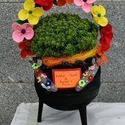 santos populares 2019 40 santos populares 2019 40