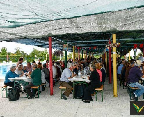 santos populares 2019 5 santos populares 2019 5