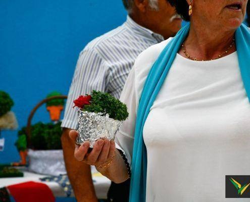 santos populares 2019 51 santos populares 2019 51