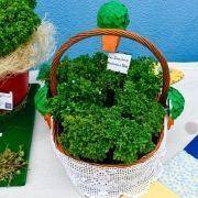 santos populares 2019 52 santos populares 2019 52