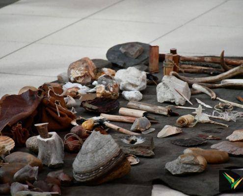 coloquio altice 2019 10 coloquio altice 2019 10