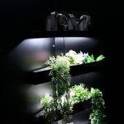 coloquio altice 2019 48 coloquio altice 2019 48