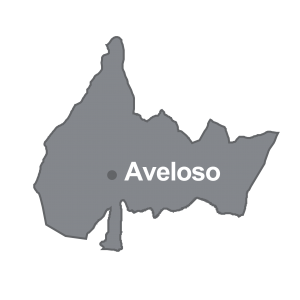 PCaveloso freguesia 1