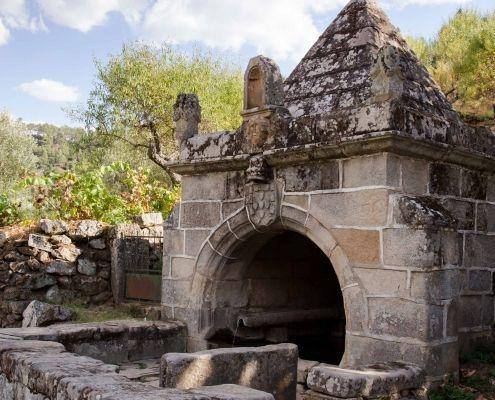 longroiva homepage 1 scaled longroiva homepage 1 scaled