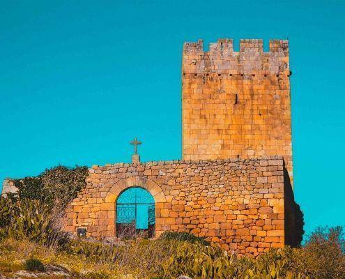 longroiva homepage 3 scaled longroiva homepage 3 scaled