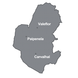 valflor carvalhal paipenela 2