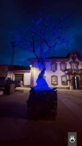 466684323 1128278745970469 2787804264716116802 N