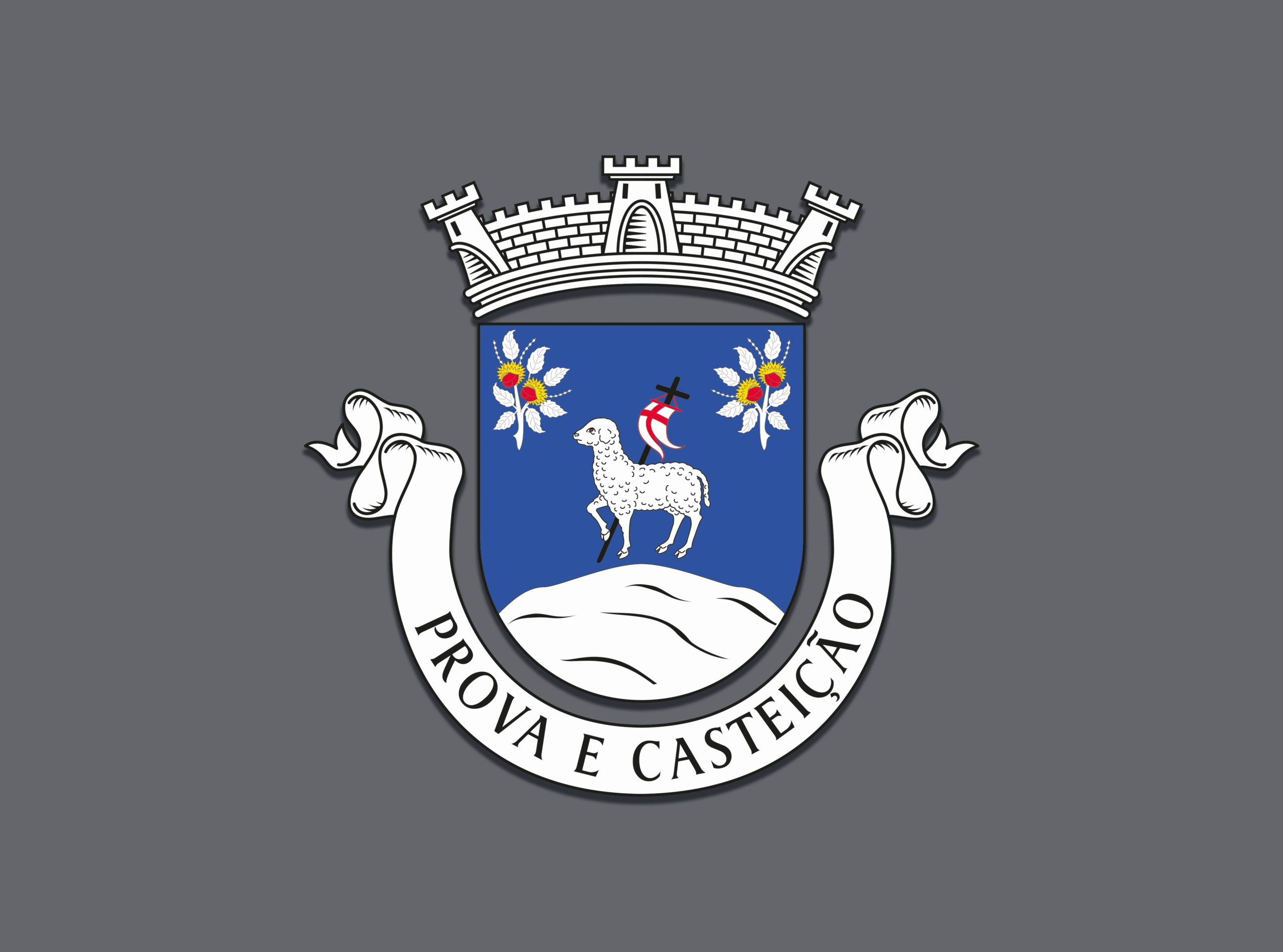 Prova E Casteição Brasão Site 1