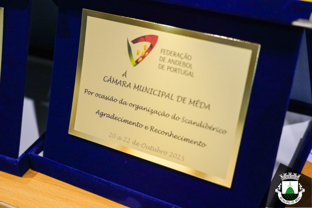 22112025 Dsc01734 22112025 Dsc01734