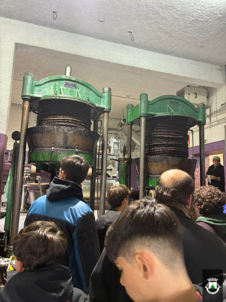 Ferias Movimento Clds 19