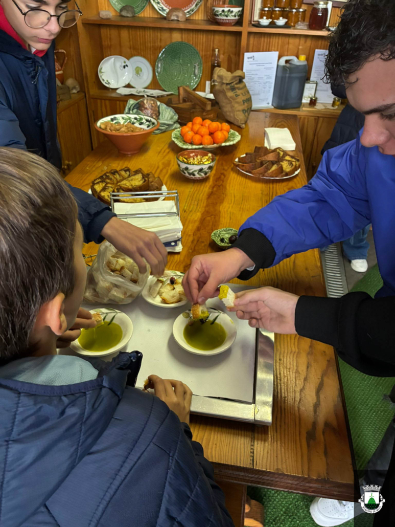 Ferias Movimento Clds 20