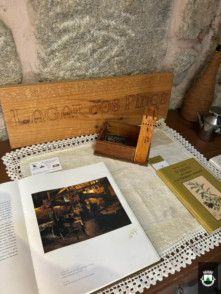 Ferias Movimento Clds 22