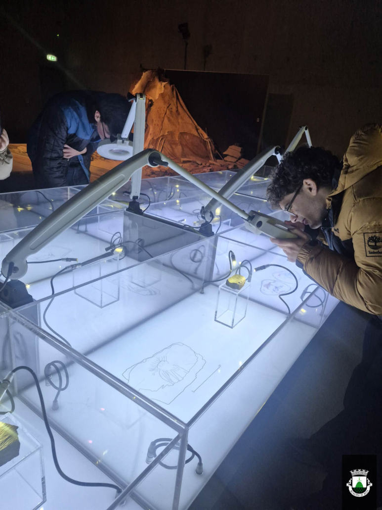 Ferias Movimento Clds 24