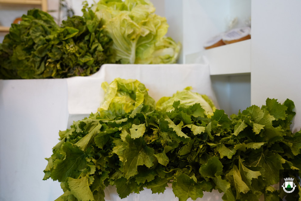 Mercado Da Terra Fevereiro 27