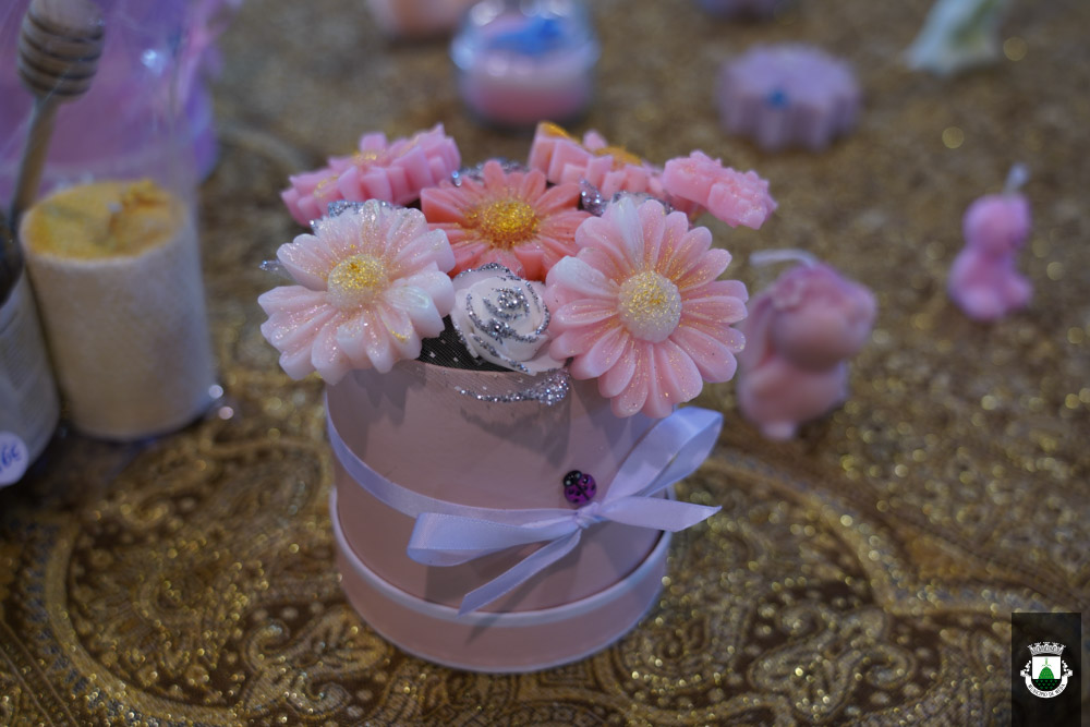 Mercado Da Terra Fevereiro 9